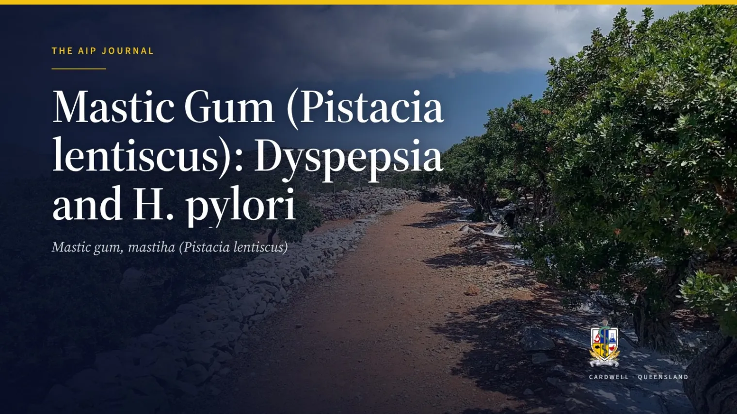 Mastic Gum (Pistacia lentiscus): Dyspepsia and H. pylori - Australian Institute of Pharmacognosy