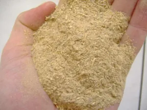 Handful of fine tan ground Piper methysticum kava root powder from Vanuatu