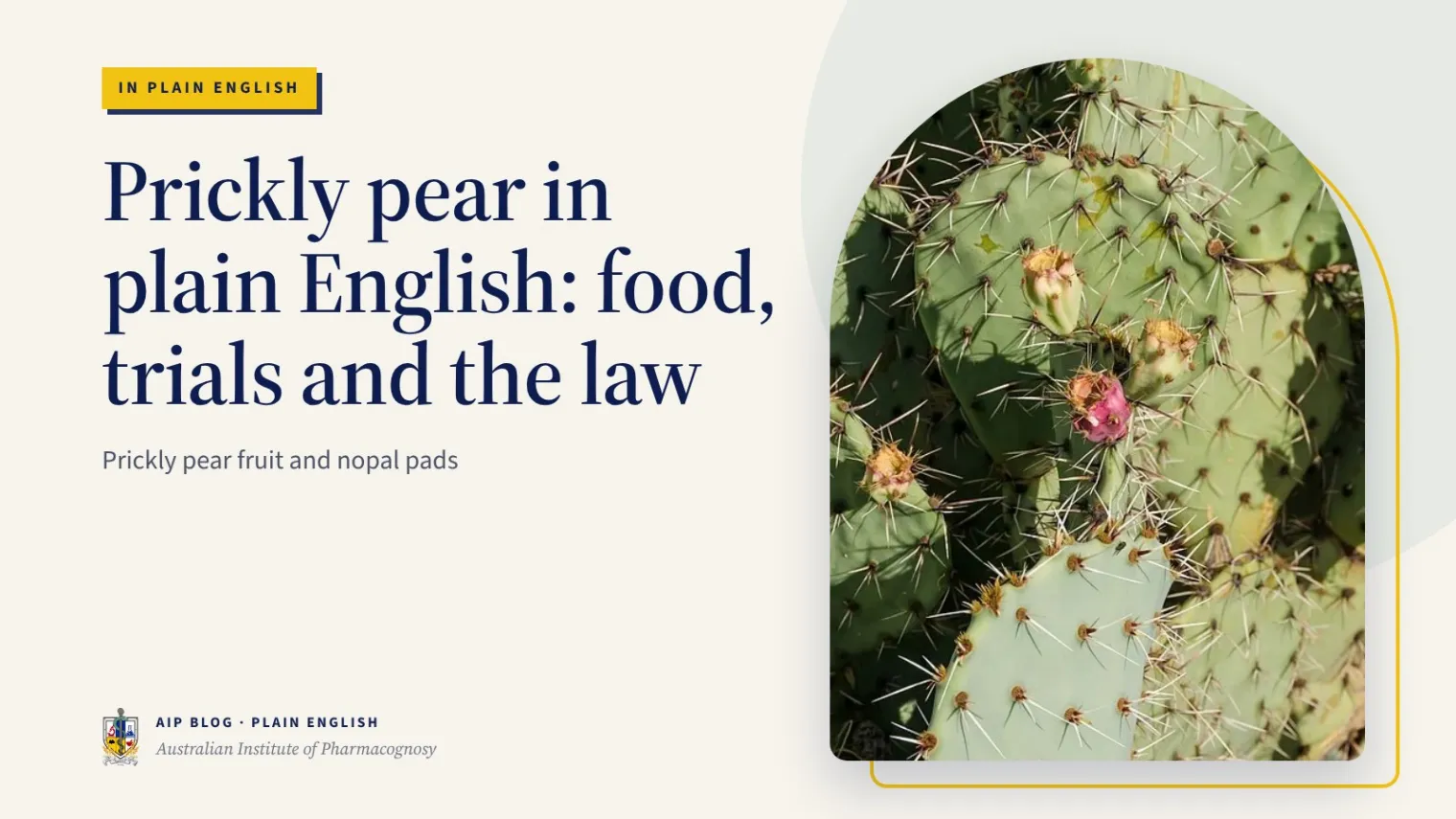 Prickly pear in plain English: food, trials and the law - Australian Institute of Pharmacognosy