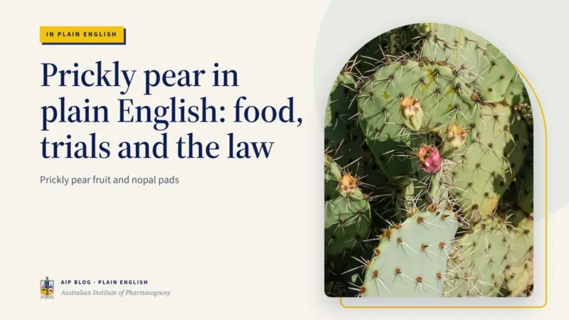 Prickly pear in plain English: food, trials and the law