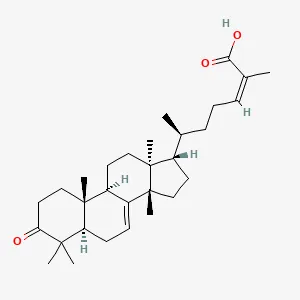 Two-dimensional chemical structure of 24Z-Masticadienonic acid