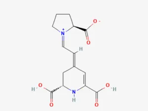 Two-dimensional chemical structure of Indicaxanthin