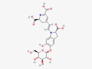 Two-dimensional chemical structure of Betanin