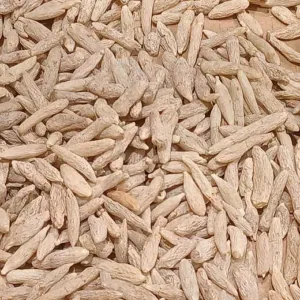 Dried pale Ophiopogon japonicus tubers
