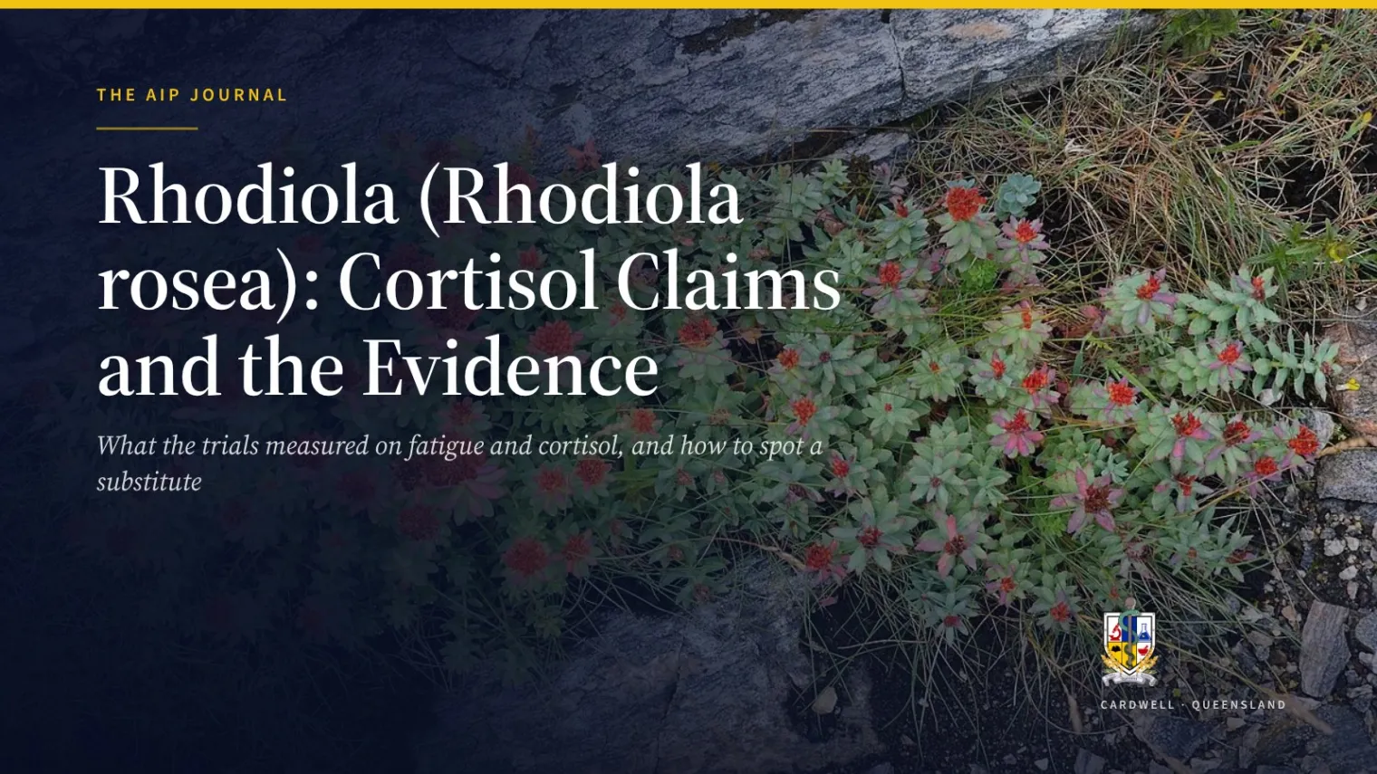 Rhodiola (Rhodiola rosea): Cortisol Claims and the Evidence - Australian Institute of Pharmacognosy