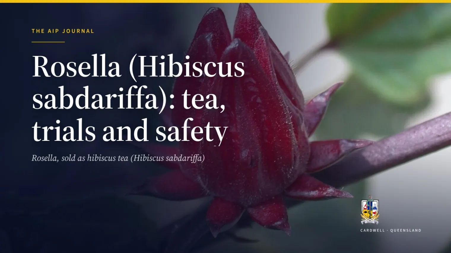 Rosella (Hibiscus sabdariffa): tea, trials and safety - Australian Institute of Pharmacognosy