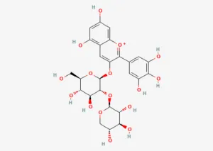 Structure of delphinidin-3-sambubioside, the main anthocyanin of Hibiscus sabdariffa calyx