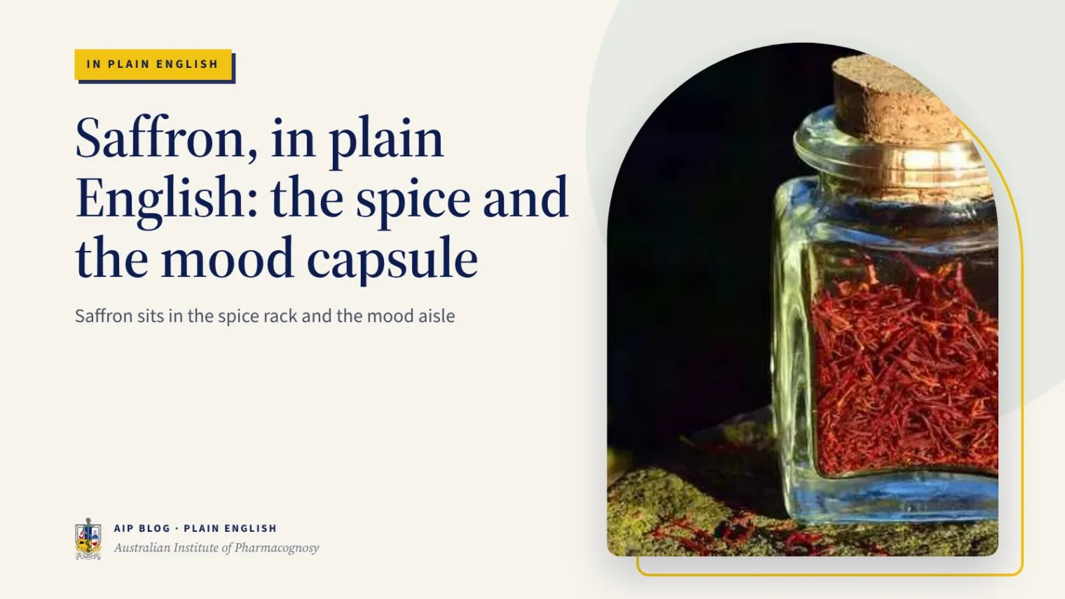 Saffron, in plain English: the spice and the mood capsule - Australian Institute of Pharmacognosy