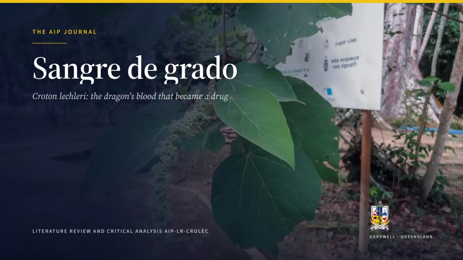 Sangre de grado (Croton lechleri): dragon's blood evidence - Australian Institute of Pharmacognosy