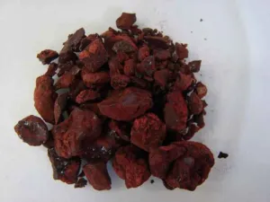 Lumps of dark red Dracaena cinnabari resin sold as sanguis draconis