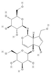 Chemical structure of Melittoside