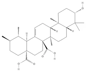 Chemical structure of Quinovic acid