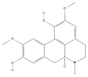 Chemical structure of Isoboldine