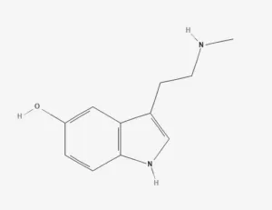 Chemical structure of Nω-Methylserotonin
