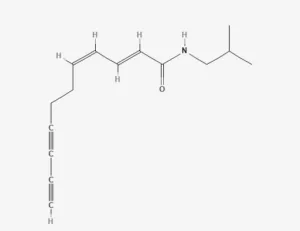 Chemical structure of Undecadienediynoic acid isobutylamide