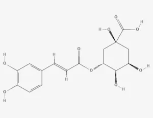Chemical structure of Chlorogenic acid