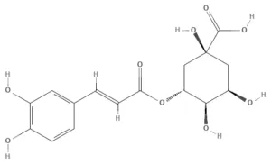 Chemical structure of Chlorogenic acid