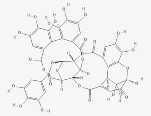 Chemical structure of Geraniin