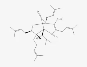 Chemical structure of hyperforin