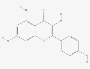 Chemical structure of kaempferol