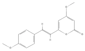 Chemical structure of Yangonin