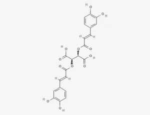 Chemical structure of Cichoric acid