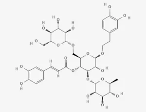 Chemical structure of Echinacoside