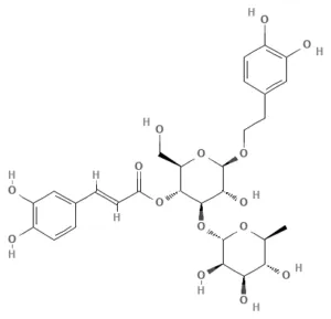 Chemical structure of Verbascoside (acteoside)