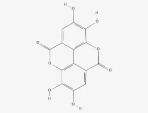 Chemical structure of Ellagic acid