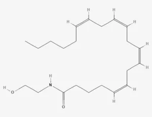 Chemical structure of Anandamide