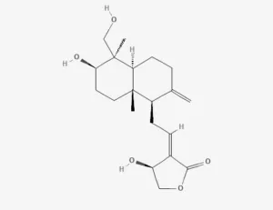 Chemical structure of Andrographolide