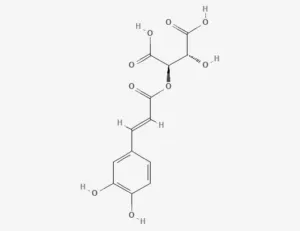 Chemical structure of Caftaric acid