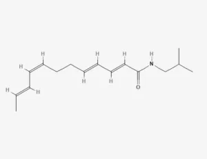 Chemical structure of Dodecatetraenoic acid isobutylamide