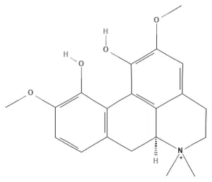 Chemical structure of Magnoflorine