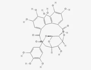 Chemical structure of Corilagin