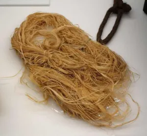 Bundle of pale hibiscus fibre used as a Samoan kava strainer