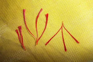 Chapter 7: Crocus sativus, stigmas laid out to dry