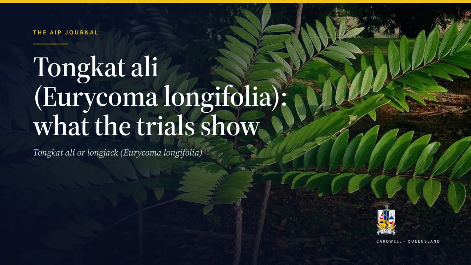 Tongkat ali (Eurycoma longifolia): what the trials show - Australian Institute of Pharmacognosy