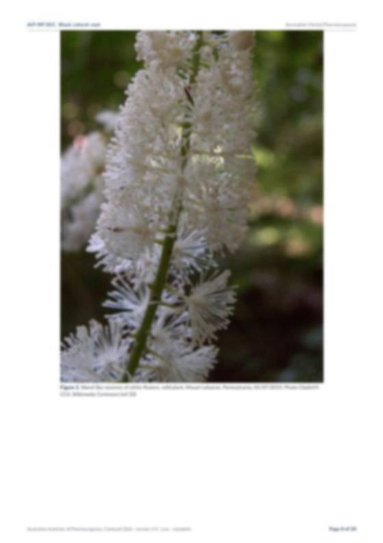 Page 8 of Black cohosh root