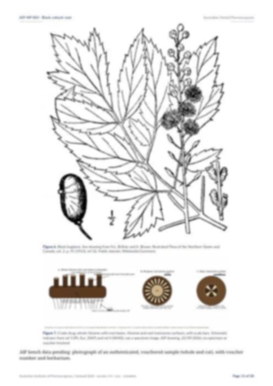 Page 11 of Black cohosh root