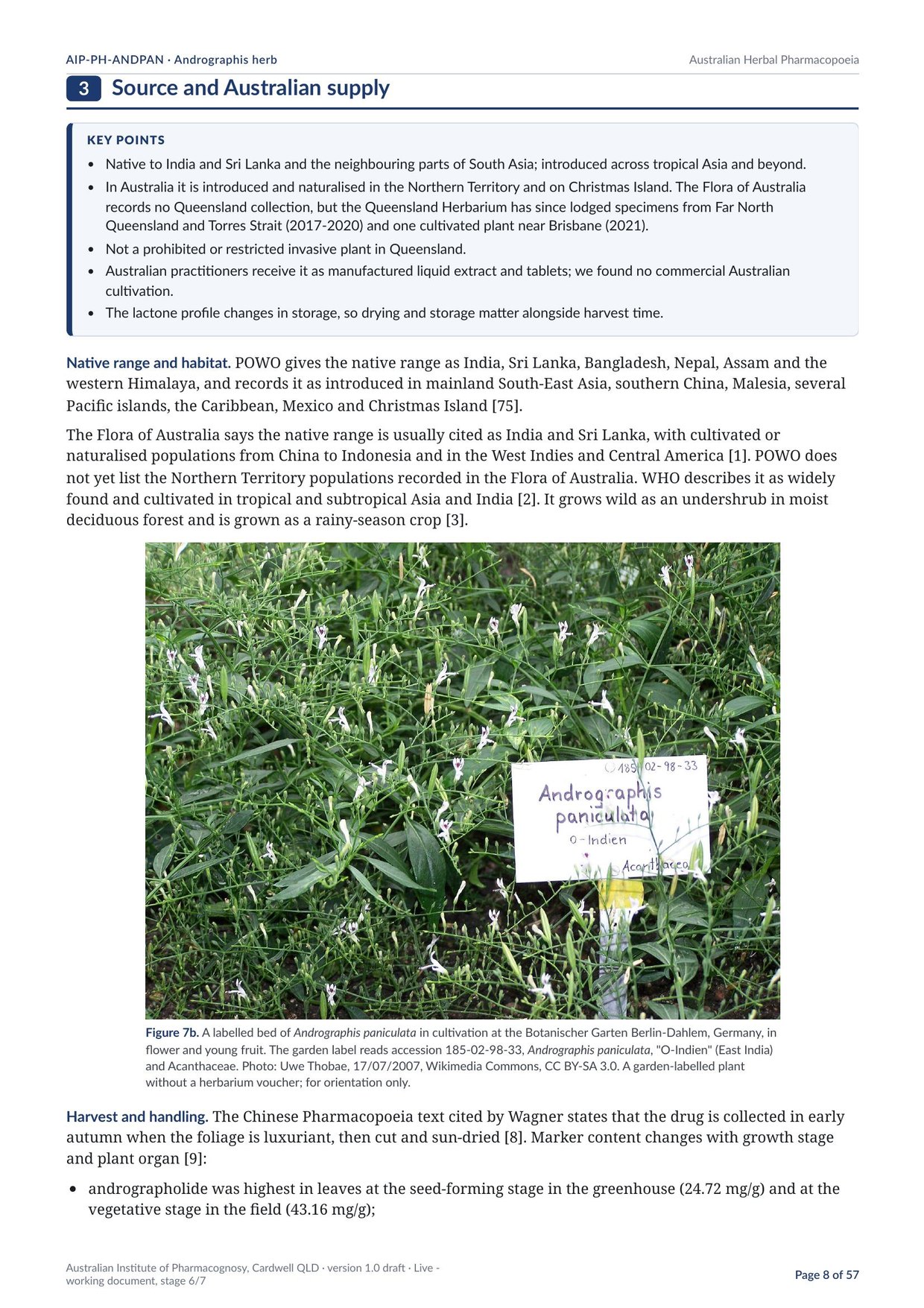 Page 8 of Andrographis herb