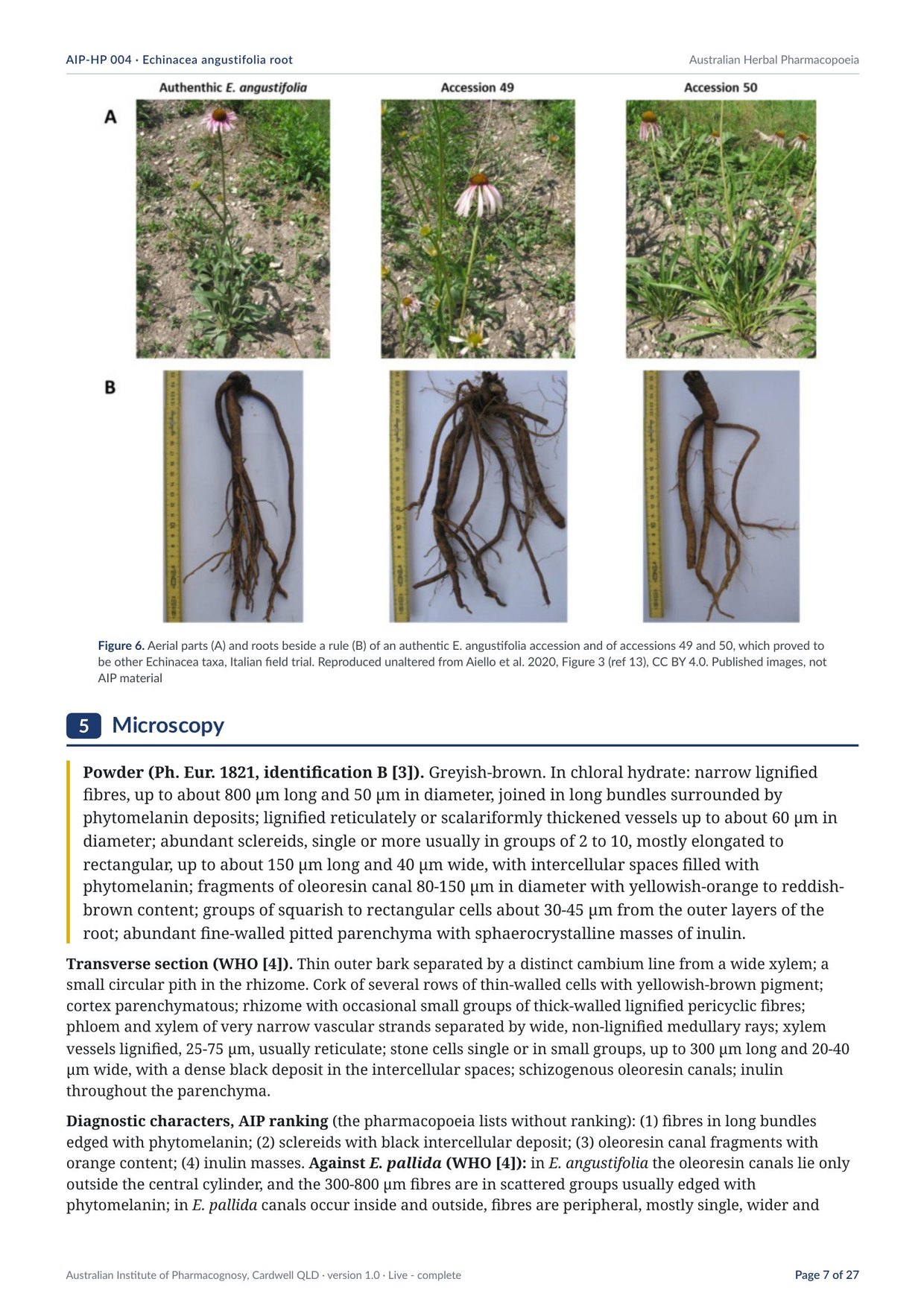Page 7 of Echinacea angustifolia root