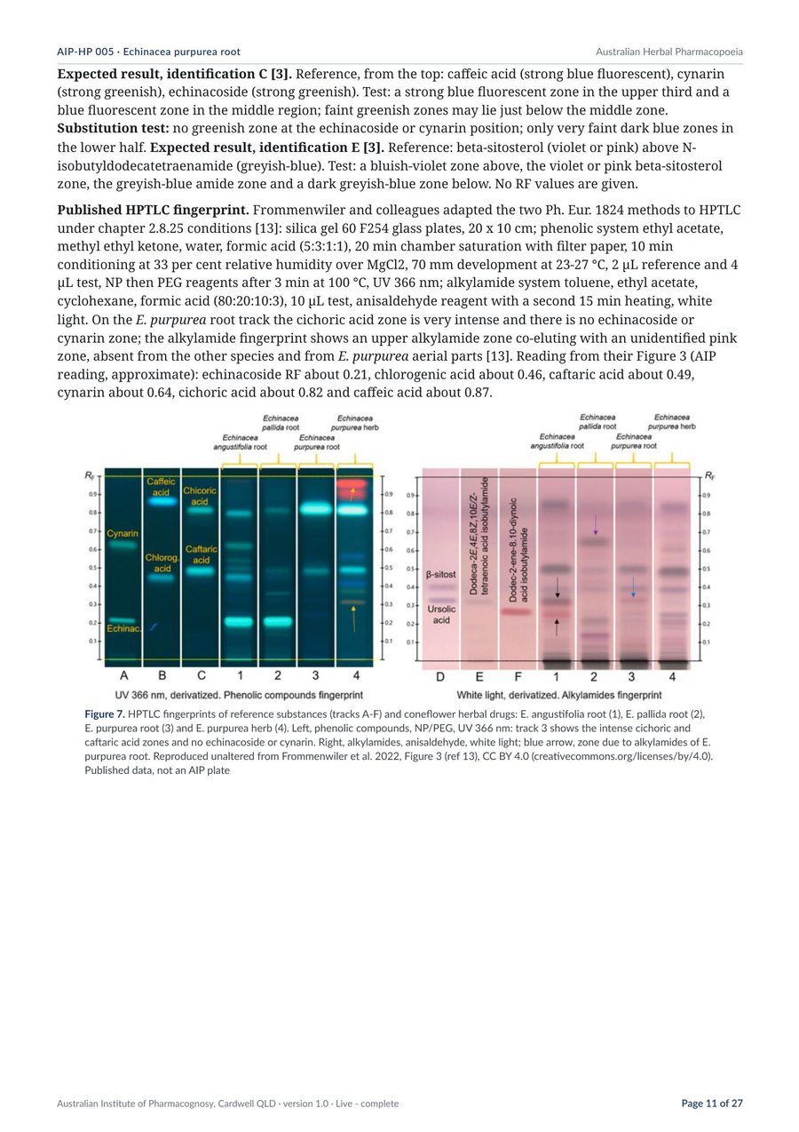 Page 12 of Echinacea purpurea root