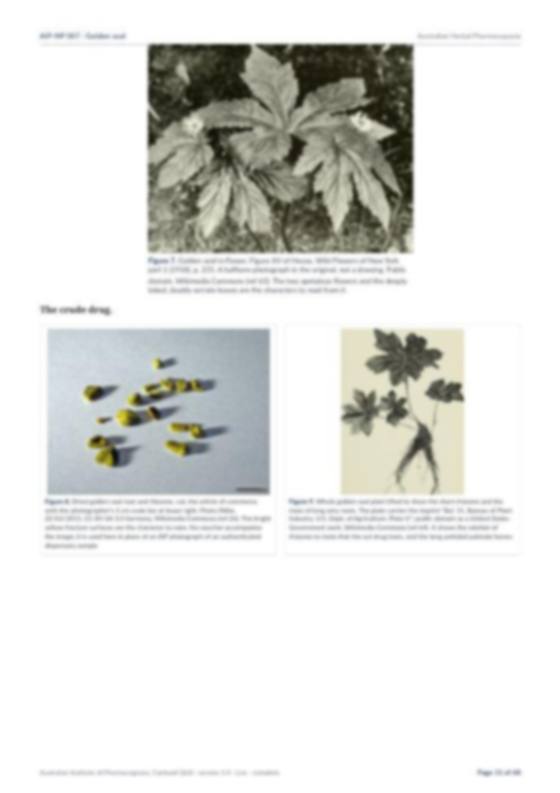 Page 11 of Golden seal
