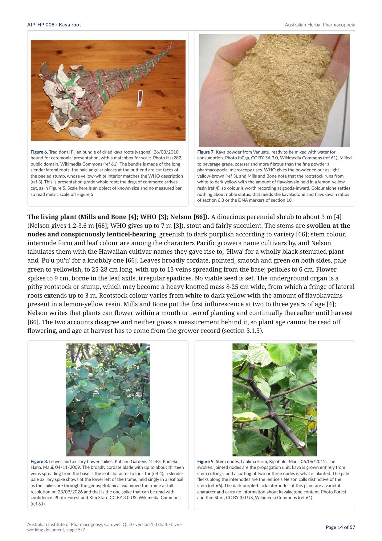 Page 14 of Kava root