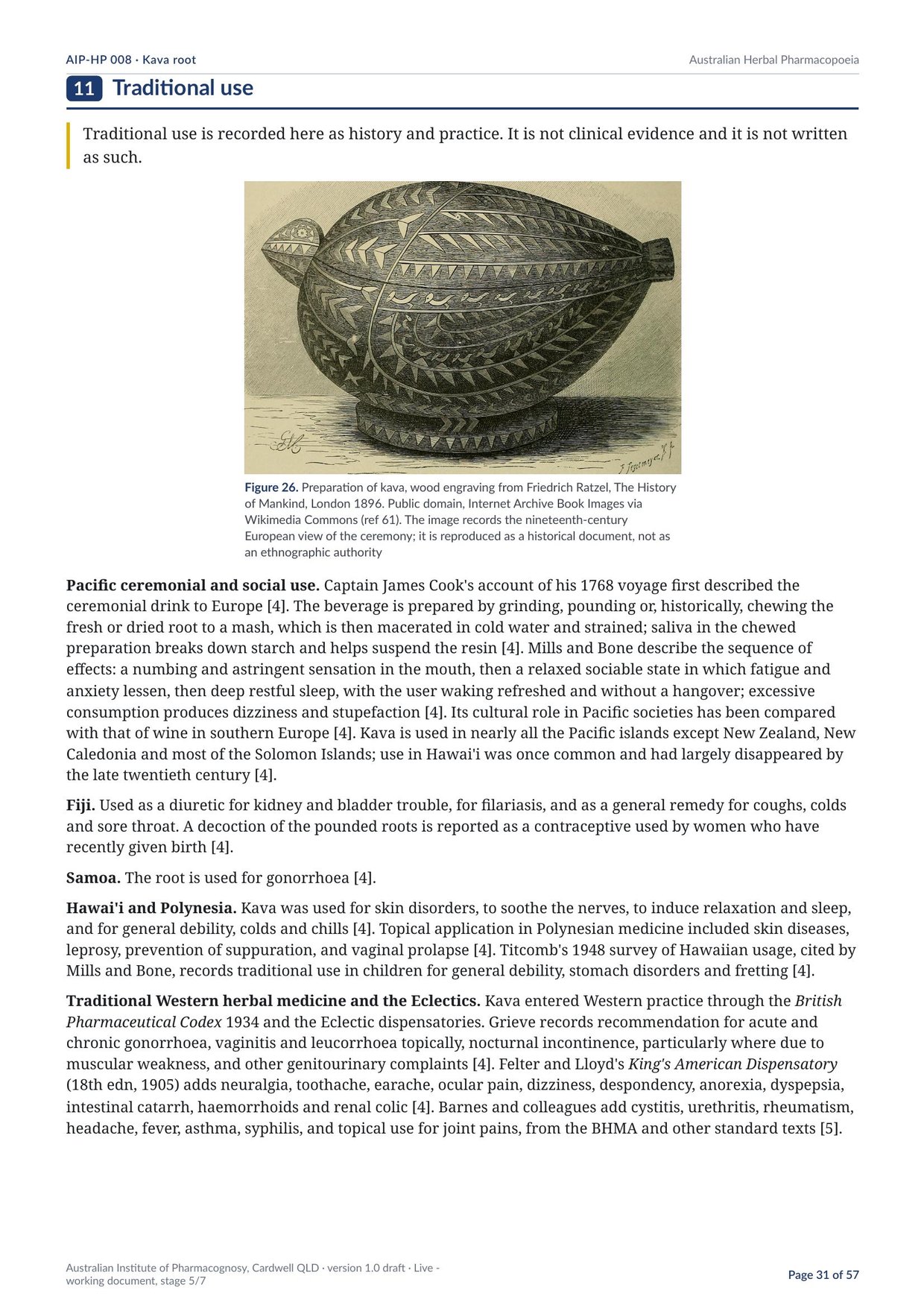 Page 31 of Kava root